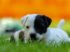IMG_8517_gwendolin