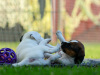 IMG_8586_gwendolin-gundi