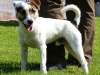 Balou_web-1